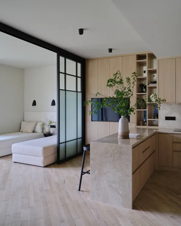 Light-Filled Apartment, 1023 sq ft (95 sq m)