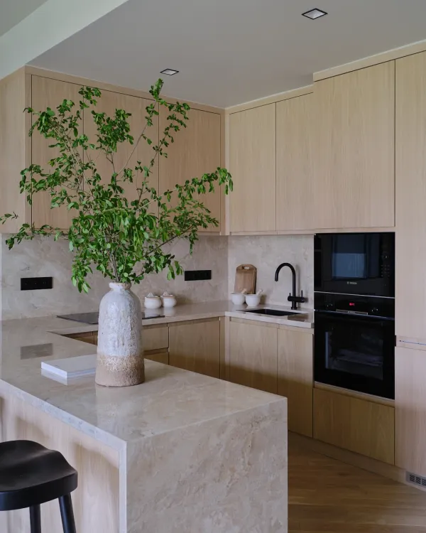 Light-Filled Apartment, 1023 sq ft (95 sq m)