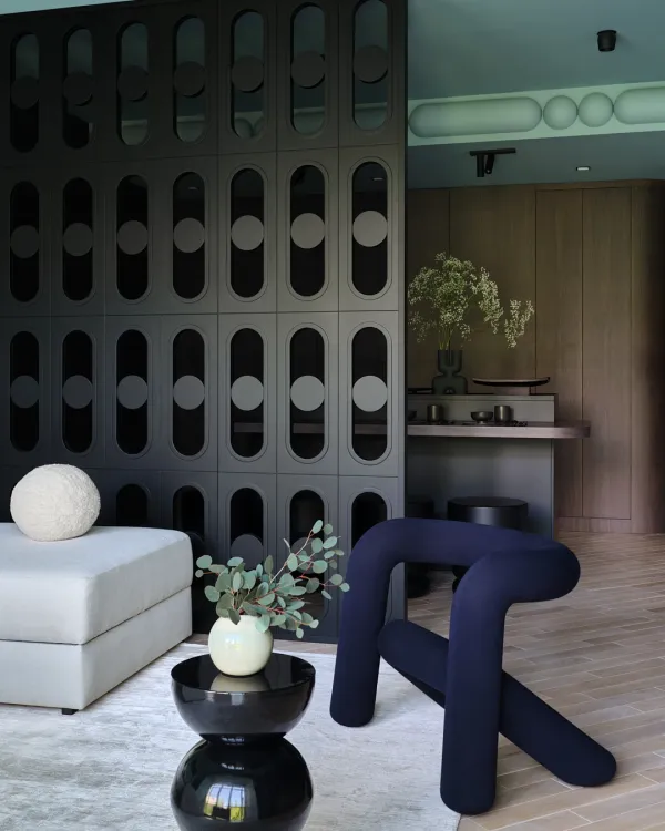 Dark & Stylish 95m² (1,022 sq ft) Apartment for a Young Coupl