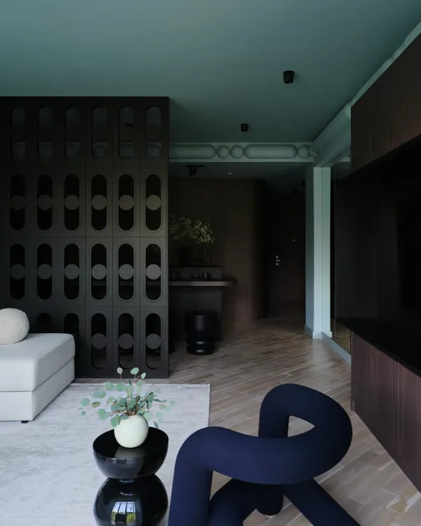 Dark & Stylish 95m² (1,022 sq ft) Apartment for a Young Coupl