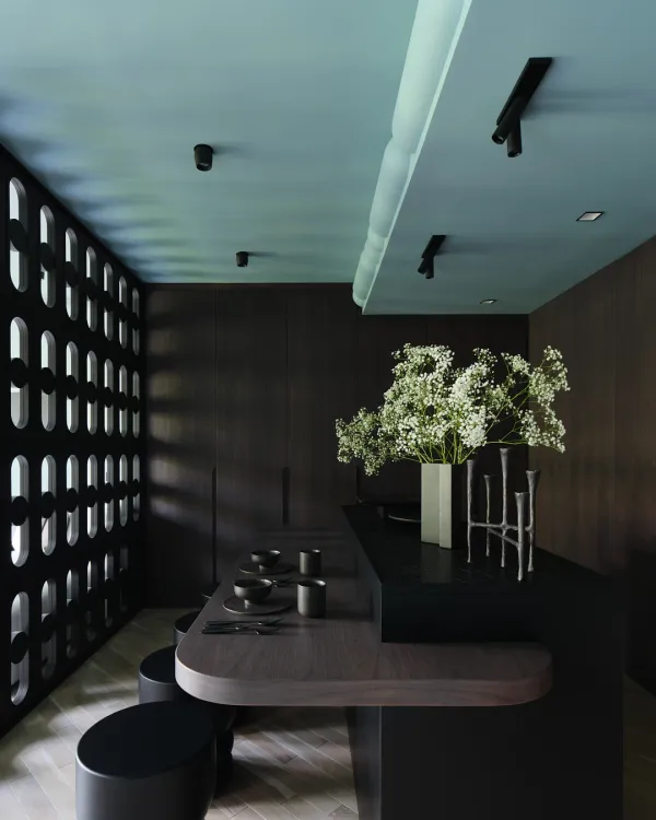 Dark & Stylish 95m² (1,022 sq ft) Apartment for a Young Coupl